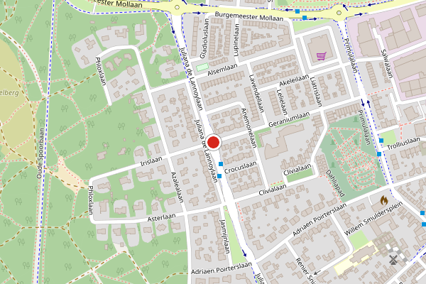 Brandweer-melding op Juliana de Lannoylaan, Waalre op 29 juni, kaart-overzicht