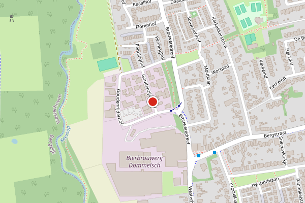 Brandweer-melding op Goudenrijderhof, Valkenswaard op 5 augustus, kaart-overzicht