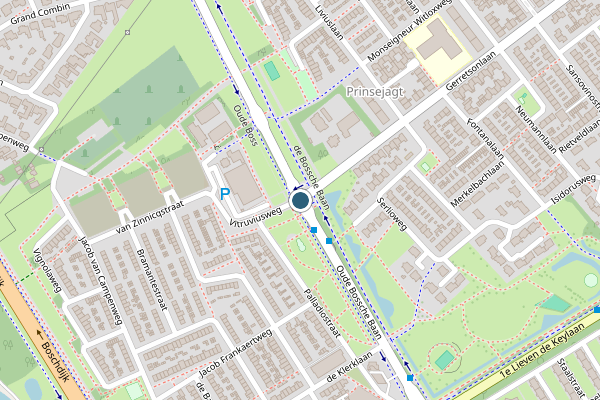 Politie-melding op Oude Bossche Baan, Eindhoven op 23 juni, kaart-overzicht