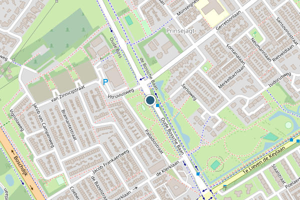 Politie-melding op Oude Bossche Baan, Eindhoven op 25 juni, kaart-overzicht